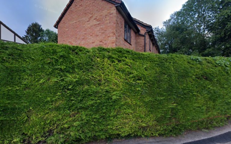 114 81a479bd325c 768x480