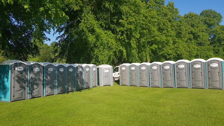 319 977699f56ae0 768x432