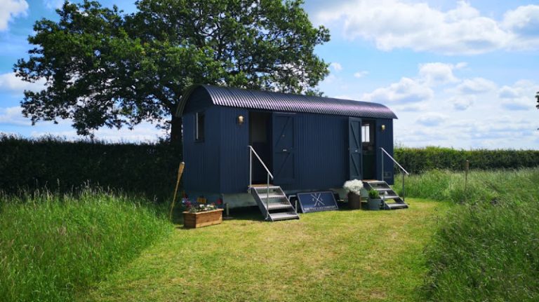 603 40e8c10ea638 768x431